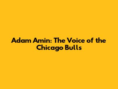 Adam Amin: The Voice of the Chicago Bulls