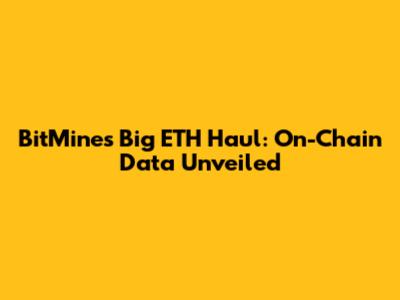 BitMine's Big ETH Haul: On-Chain Data Unveiled