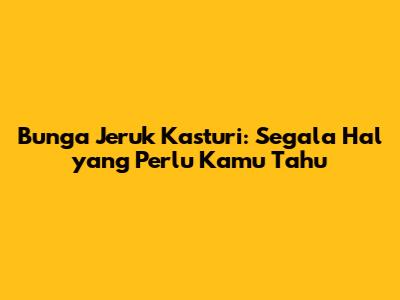 Bunga Jeruk Kasturi: Segala Hal yang Perlu Kamu Tahu