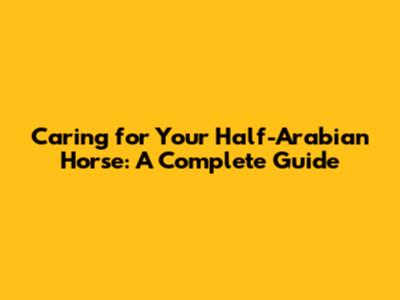 Caring for Your Half-Arabian Horse: A Complete Guide