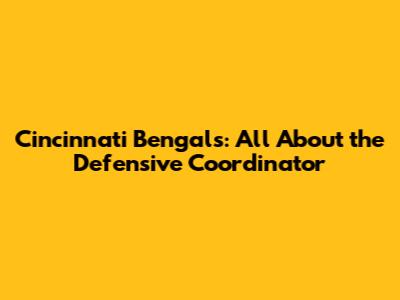 Cincinnati Bengals: All About the Defensive Coordinator