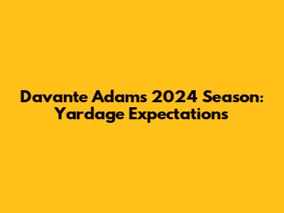 Davante Adams' 2024 Season: Yardage Expectations