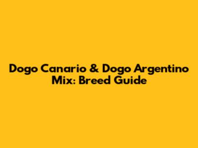 Dogo Canario & Dogo Argentino Mix: Breed Guide