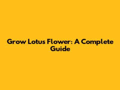 Grow Lotus Flower: A Complete Guide