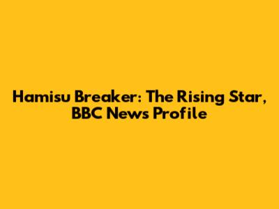 Hamisu Breaker: The Rising Star, BBC News Profile