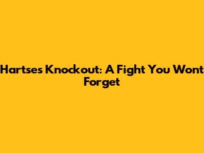 Hartse's Knockout: A Fight You Won't Forget