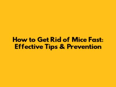 How to Get Rid of Mice Fast: Effective Tips & Prevention