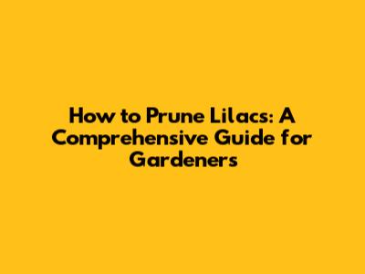 How to Prune Lilacs: A Comprehensive Guide for Gardeners