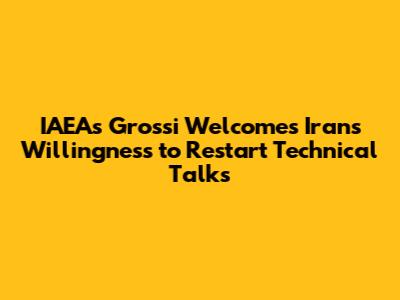 IAEA's Grossi Welcomes Iran's Willingness to Restart Technical Talks