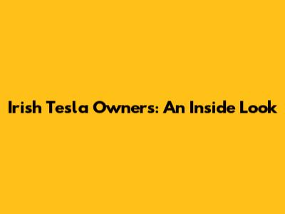 Irish Tesla Owners: An Inside Look