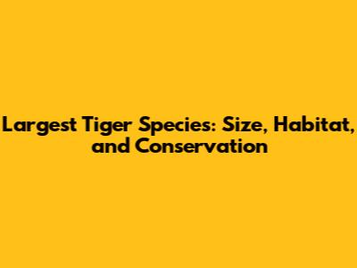 Largest Tiger Species: Size, Habitat, and Conservation