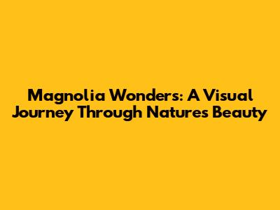 Magnolia Wonders: A Visual Journey Through Nature's Beauty
