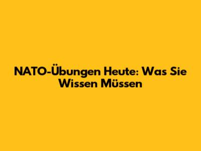 NATO-Übungen Heute: Was Sie Wissen Müssen