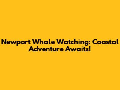 Newport Whale Watching: Coastal Adventure Awaits!