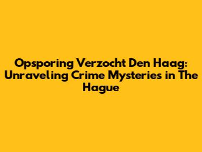Opsporing Verzocht Den Haag: Unraveling Crime Mysteries in The Hague