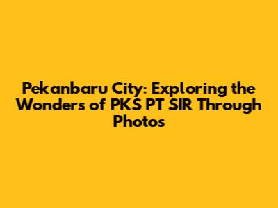 Pekanbaru City: Exploring the Wonders of PKS PT SIR Through Photos