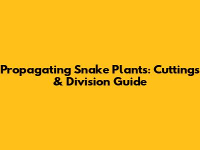 Propagating Snake Plants: Cuttings & Division Guide