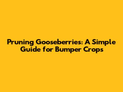Pruning Gooseberries: A Simple Guide for Bumper Crops