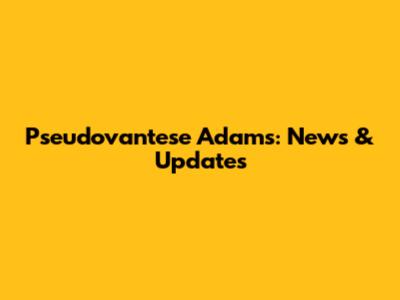 Pseudovantese Adams: News & Updates