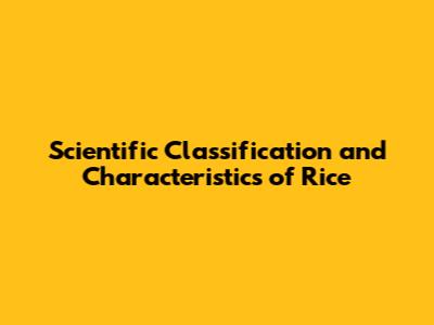 Scientific Classification and Characteristics of Rice