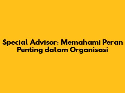 Special Advisor: Memahami Peran Penting dalam Organisasi