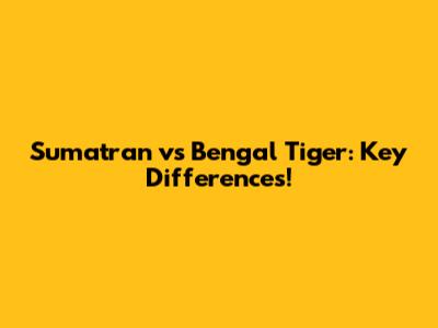 Sumatran vs Bengal Tiger: Key Differences!