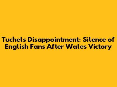 Tuchel's Disappointment: Silence of English Fans After Wales Victory