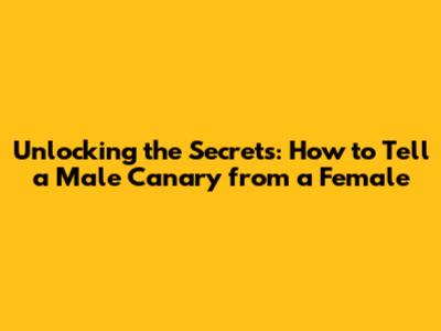 Unlocking the Secrets: How to Tell a Male Canary from a Female