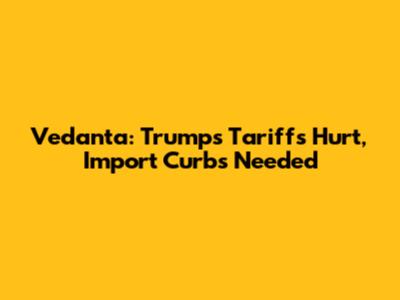 Vedanta: Trump's Tariffs Hurt, Import Curbs Needed