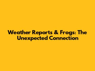 Weather Reports & Frogs: The Unexpected Connection